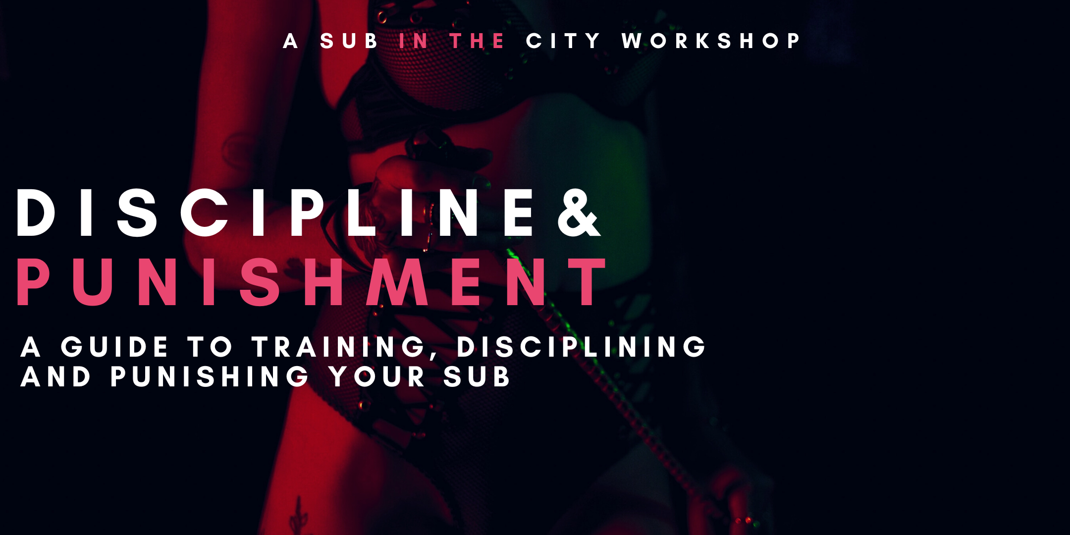 Discipline & Punishment online workshop